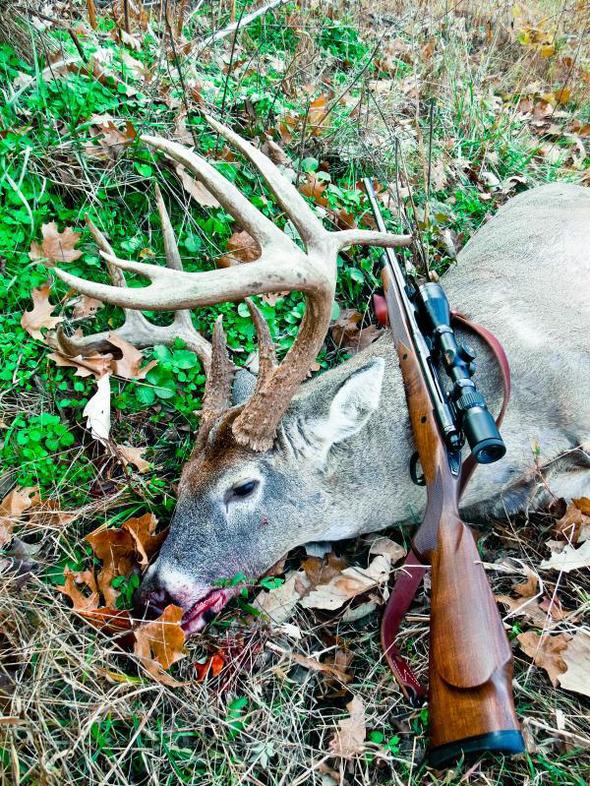 MDC seeks public input on proposed deer hunting regulation changes
