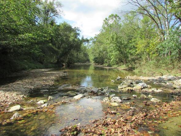A creek flows through gravel beneath a green canopy of overarching trees at Ranacker Conservation Area in Missouri’s Pike County. 