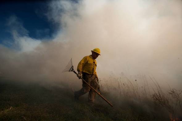 A man wearing protective yellow hard hat and Nomex shirt carries a rake along a line of fire and smoke in a field of prairie grasses. 