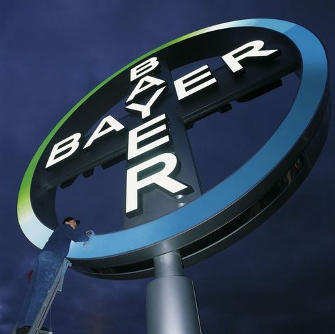 bayer