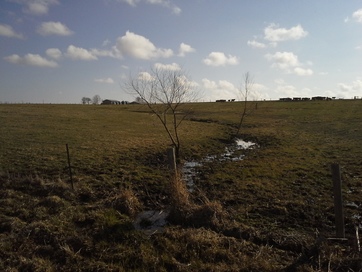 before picture Linneus farm