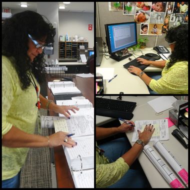 Collage of Rosa Sosa