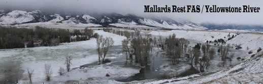 Mallard's Rest FAS