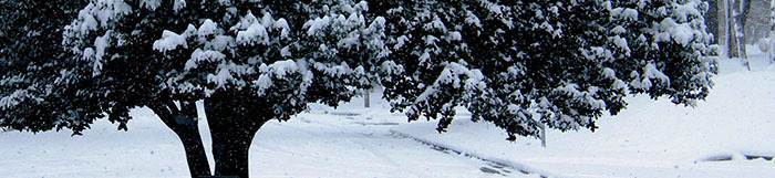 BB Banner February 2013