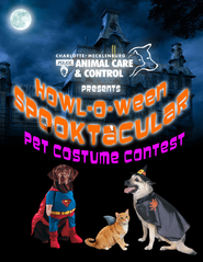 Pet Costume Contest