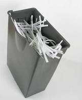 Shredded Paper