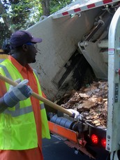 Yard Waste Collection