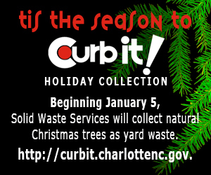Natural Christmas Tree Collection