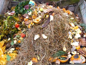 Composting at home is easy.