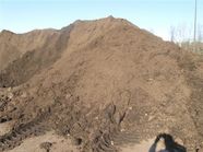Compost Pile