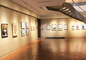 Block Gallery