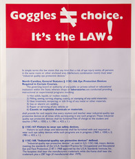 Goggles, It's the Law Poster