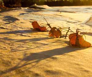 Featured Photo 09112014