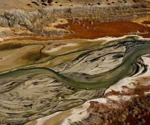 Featured Photo 11/14/2014