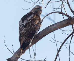 Featured Photo 02052015