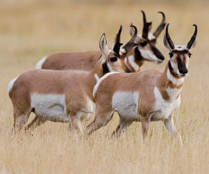 Featured Photo 05082015