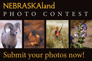 Photo Contest