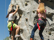 Rock wall climbers