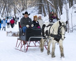 Taking a horse-drawn sleigh ride.