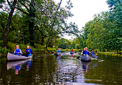 canoe paddle