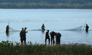 seining at Cohotate Preserve, Athens