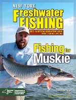 Regulations guide cover