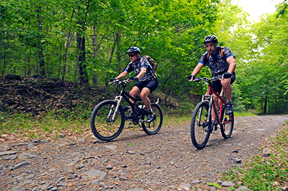 Two mountain bikers riding on a path.