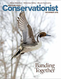 December 2015 cover of Conservationist