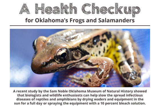Health Check for Amphibians