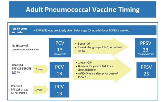Adult Pneumococcal Vaccine Timing chart for age 65 years and older
