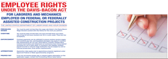 Davis Bacon