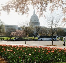 U.S. Capitol