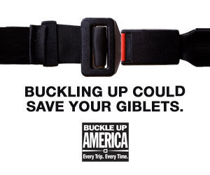 Buckling up could save your giblets