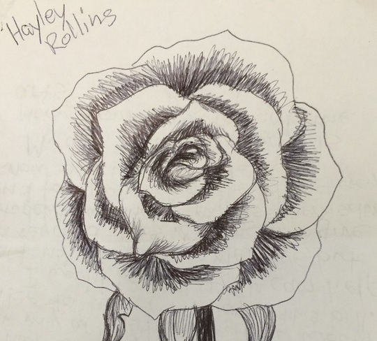 Hayley's Rose