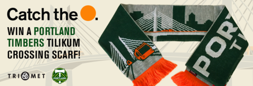 Timbers scarf