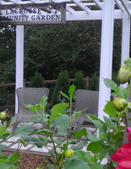 Neighborhoods project