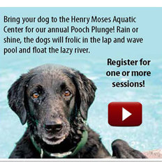 Pooch Plunge