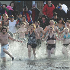 Polar Bear Dip