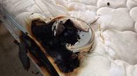 mattress burned by light fixture