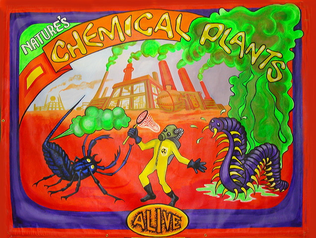 Dr. Entomo's Palace Of Exotic Wonders 