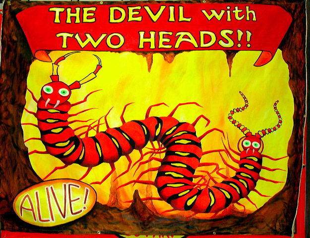 Dr. Entomo's Palace Of Exotic Wonders 