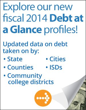 graphic listing new FY2014 Debt at a Glance profiles