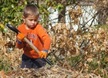 boy and leaves