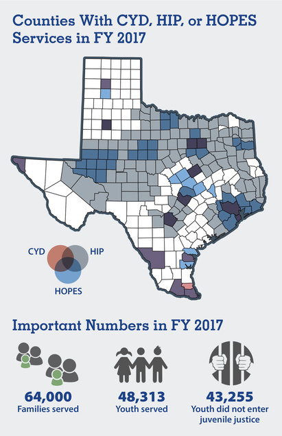Chart showing increases in services ares for CYD, HIP and HOPES. All info is present in text.