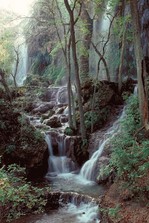 Gorman Falls at Colorado Bend State Park
