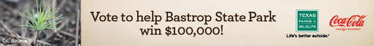 Vote for Bastrop