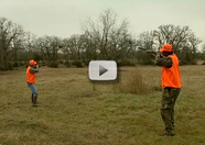 2 hunters aiming shotguns into distance
