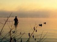 hunter wading with decoys, sunrise
