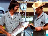 50s era angler, fish and TPWD staff member