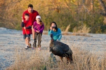 Nature Viewing in a State Park